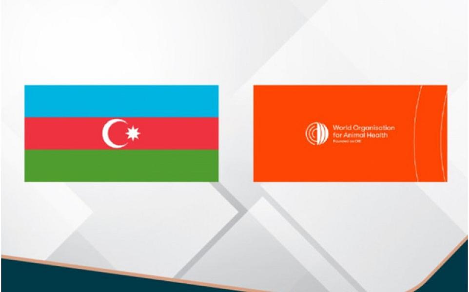 Azərbaycan ÜHST-nin İdarəetməyə Nəzarət Komitəsinə