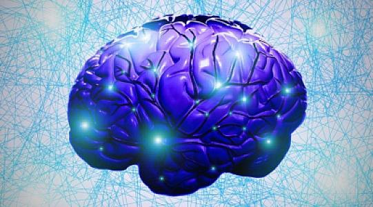 Beyin qocalmasına səbəb olan