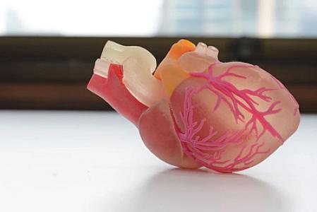 Tibbdə inqilab: Qan əmələ gətirmə funksiyası olan