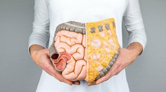 Allergiyanın səbəbi