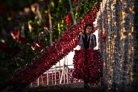 Ürək üçün güclü dərmandır: