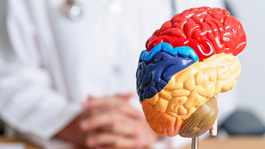 İnsan huşunu itirdiyi zaman beyində