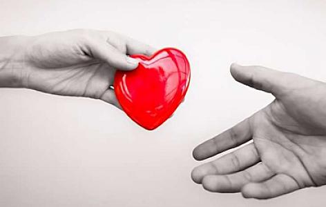 Orqan nəqli ilə yaddaş və xatirələr də