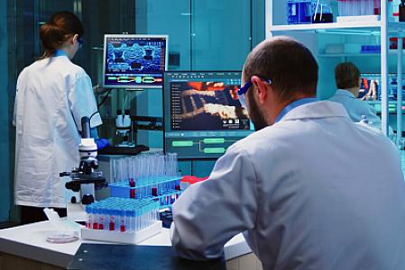 İnsan orqanizmində