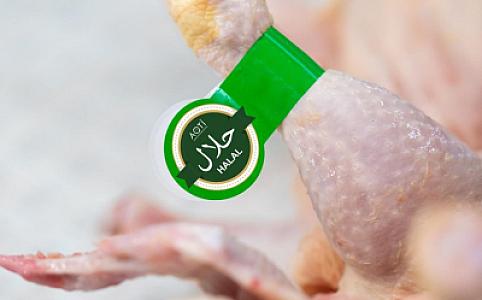 Daha 6 qida subyekti “HALAL” sertifikatlaşma ilə bağlı