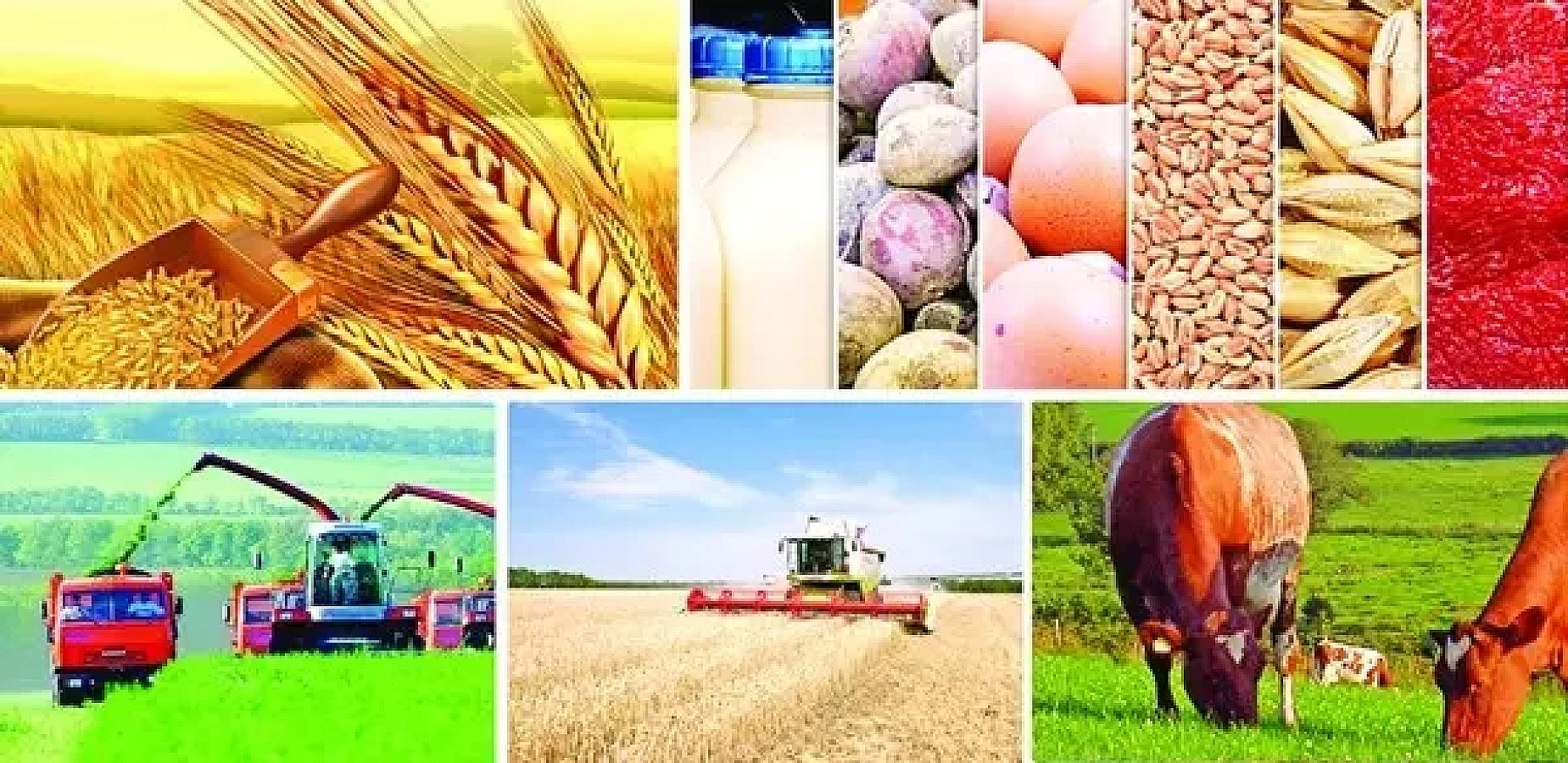 Azərbaycanda bu məhsulların bolluğu yarana,