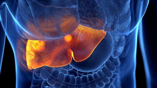 Qaraciyəri xəstə olanlara ŞAD XƏBƏR: