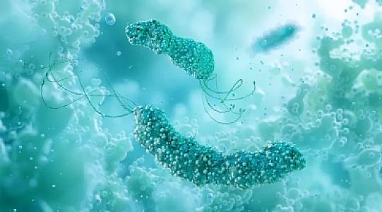 Mədə xərçənginin mühüm səbəblərindən biri: