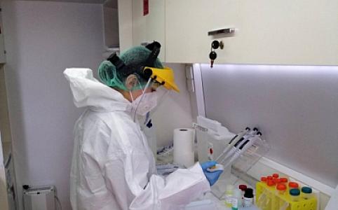 Azərbaycanda quş qripi xəstəliyinə rast gəlinib? -