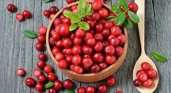 Bu giləmeyvə min bir dərdin dərmanıdır