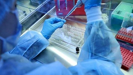 Yeni virus təhlükəsi: