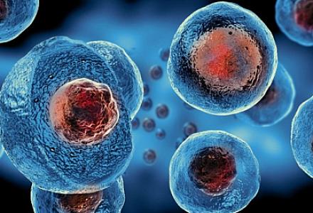 “Ağıllı hüceyrələr” gələcəkdə müxtəlif xəstəliklərin müalicəsində