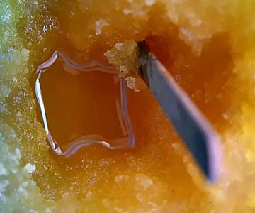 Ürək üçün ən güclü dərman: