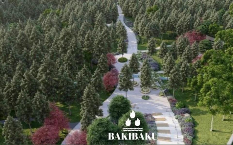 Bakıda yeni park salınır -