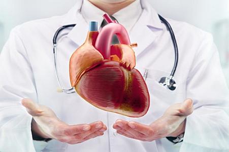 Alimlər ürək xəstəliklərinin dərmanı olan