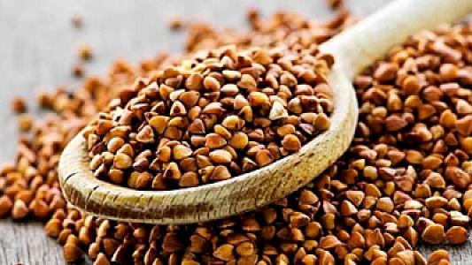 “Qreçka”nın gizli gücü: