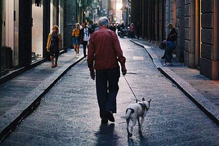 Bioloq uzunömürlülük üçün əsas düsturu açıqladı -