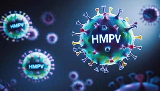 Metapnevmovirus (hMPV):
