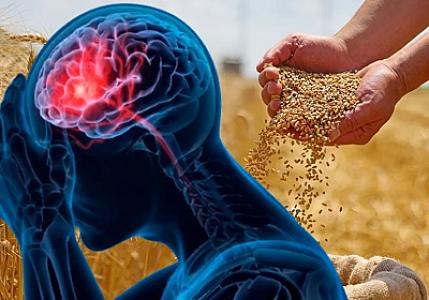 "Bədənin fabriki"ni fəallaşdıran 4 qayda: