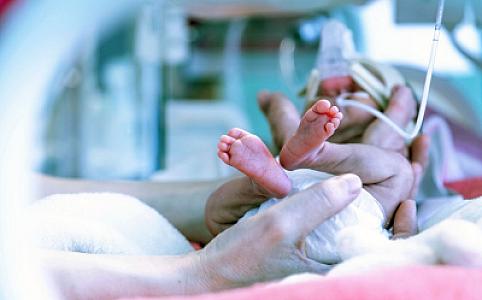 Dünyada ən çox yayılmış herbisidin körpələr üçün