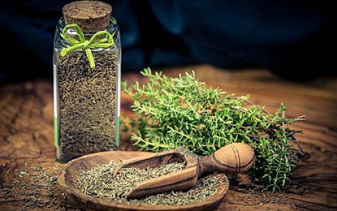 Özünüzə kəklikotu