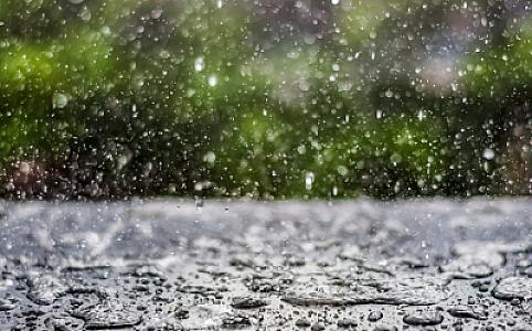 Bazar gününə olan hava proqnozu