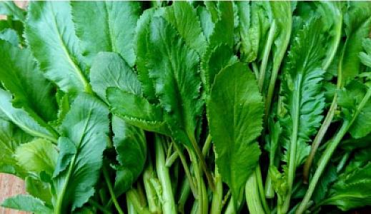 Siqaretin zərərini azaldan bitki -