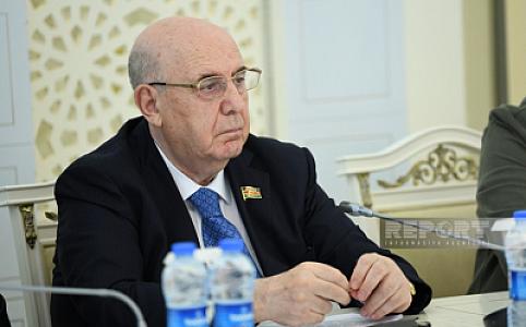 Əhliman Əmiraslanov: “Ana və uşaq ölümü bütün dünyada olduğu kimi bizdə də böyük bir problemdir”