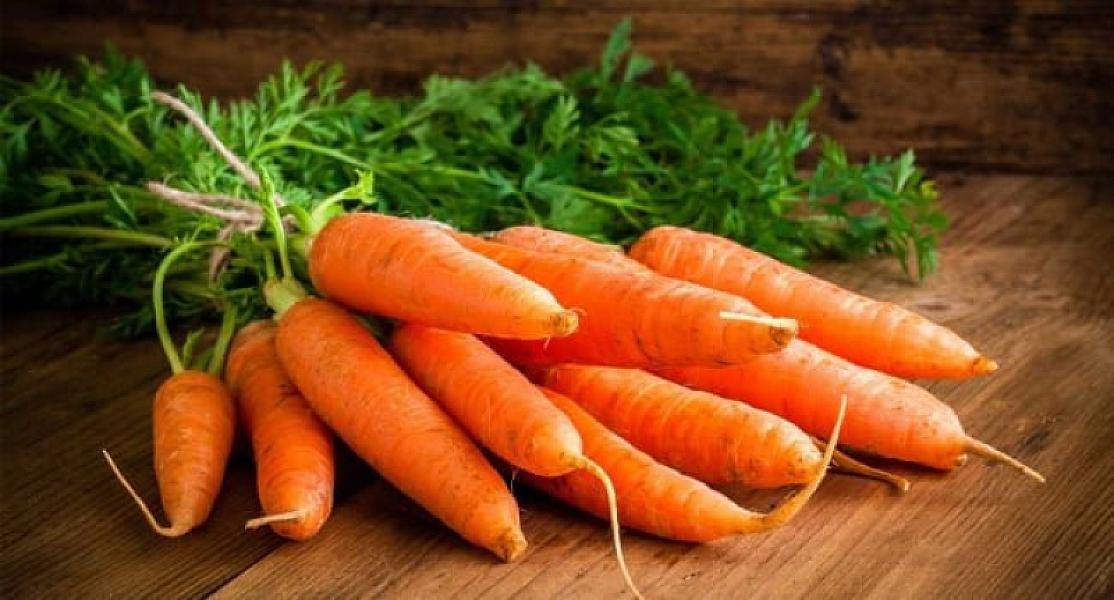 Yerkökü sizi bu xəstəlikdən qoruyur -