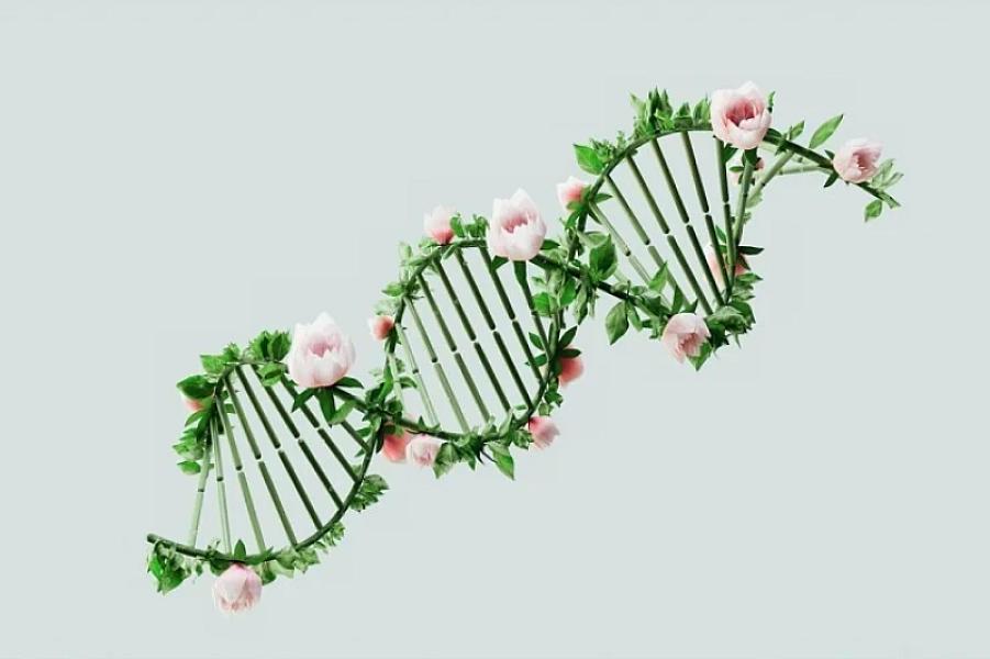 Genetik inqilab: Xərçənglə mübarizə üçün