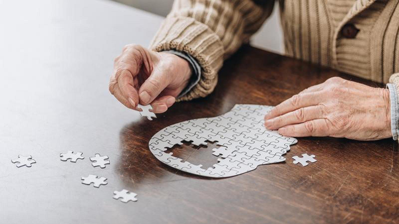 Alzheimer və Parkinson xəstəliklərinin müalicəsində