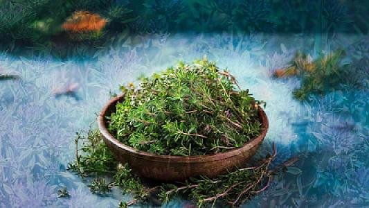 Dünya bu möcüzəvi bitkinin