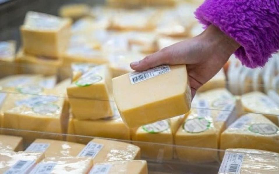 Marketlərdə satılan bu pendirlər saxtadır –