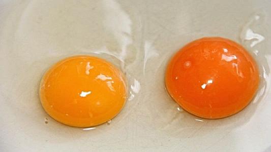 Yumurta sarısının rəngi onun keyfiyyətindən xəbər verir: