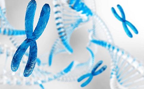 Yaponiyada Daun sindromunun müalicəsində