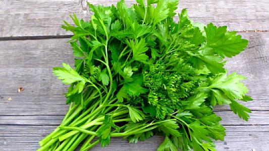 Cəfərinin bu faydasını heç kim bilmir!