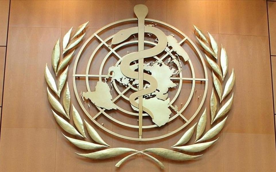ÜST: Qarayara xəstəliyinin yayılma riski yüksəkdir