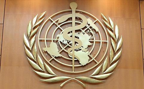 ÜST: Qarayara xəstəliyinin yayılma riski yüksəkdir