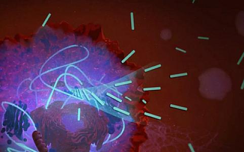 Kimyaçılar xəstənin orqanizmində dərman yaratmağın yolunu tapıblar