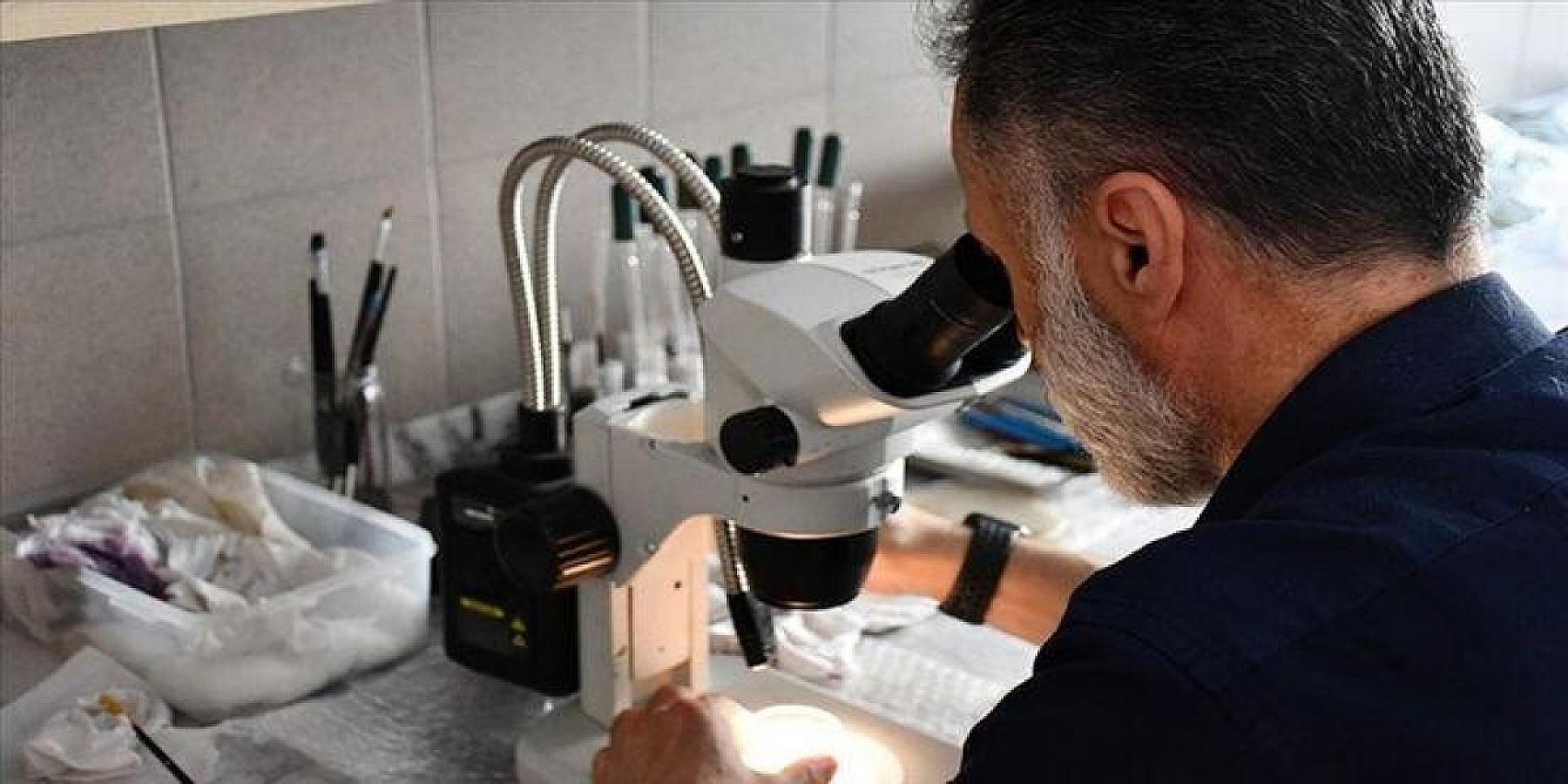 Çinli alimlər elmə məlum olmayan