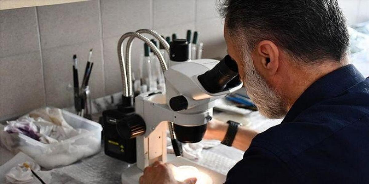 Çinli alimlər elmə məlum olmayan
