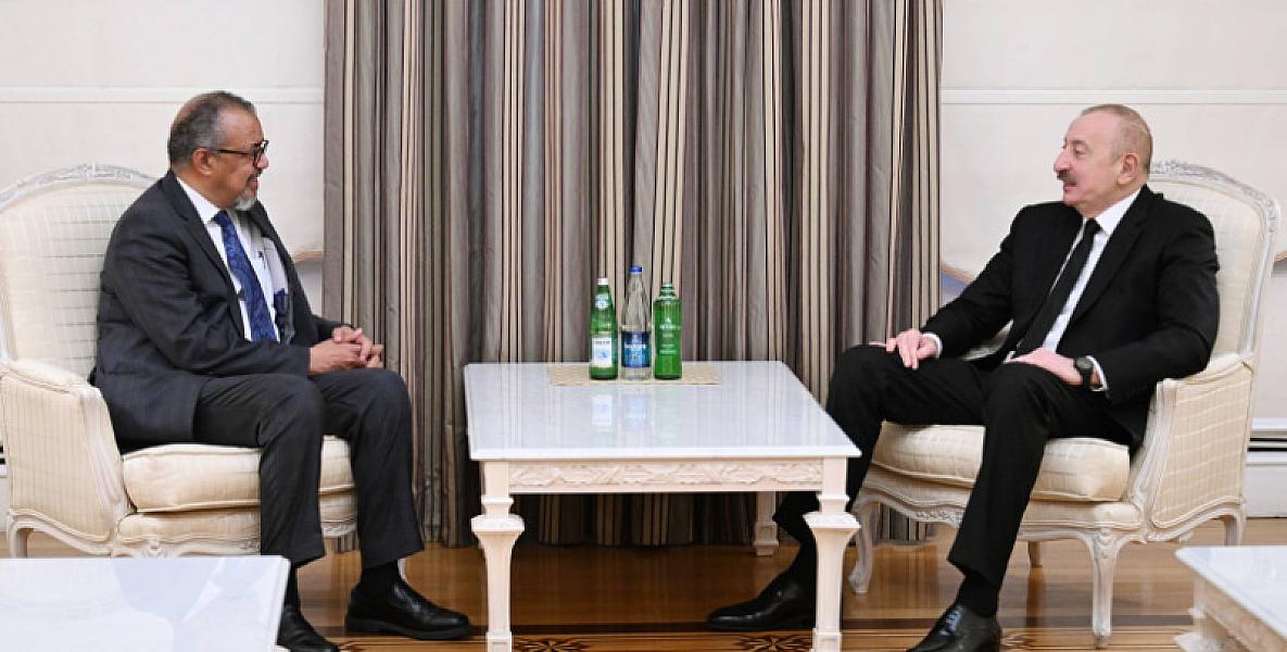 Prezident ÜST rəhbəri ilə görüşüb