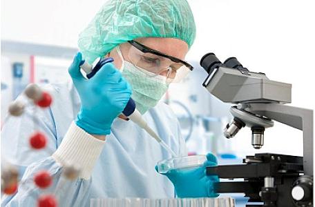 Orqanizmi qocalmış hüceyrələrdən təmizləməyin