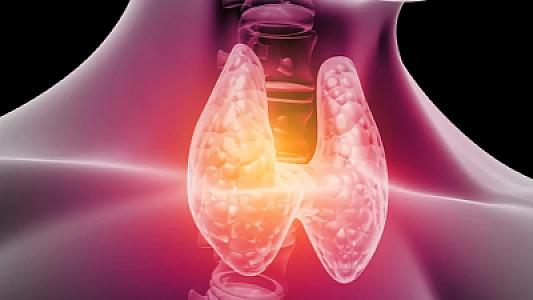 Qalxanabənzər vəzi xəstələri Ramazanda oruc tutarkən