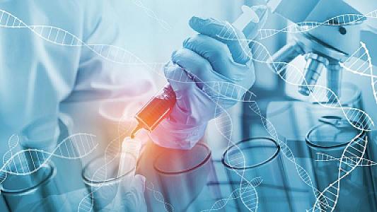 Yaraları və zədələnmiş toxumaları sağaltmağa kömək edə biləcək canlı kiçik robotlar yaradıldı