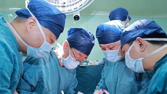 Donuzdan insana qaraciyər köçürüldü –