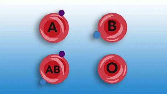 Bu qan qrupundan olan insanlar iş dünyasında