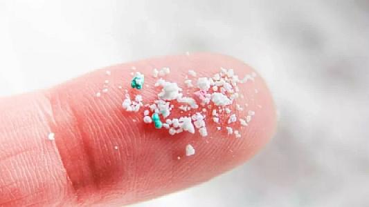 Hər gün istehlak edirik, amma