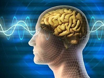 Beyni 10 yaş cavanlaşdıran üsul