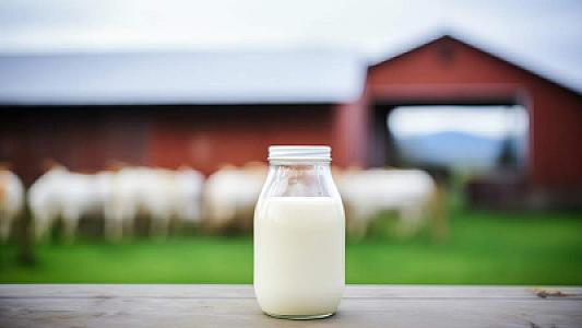 Faydalı bildiyiniz kefirin bəzi insanlar üçün